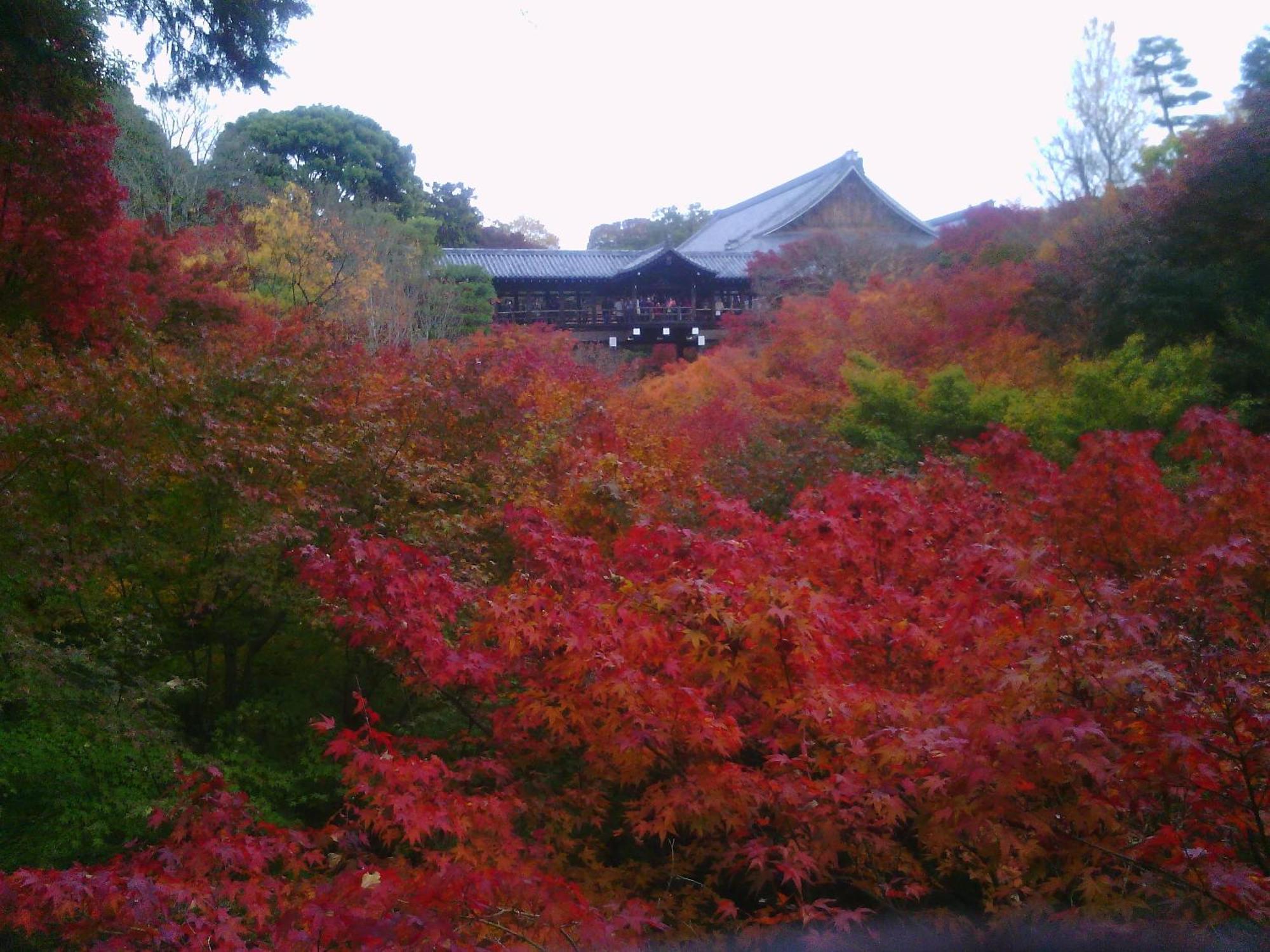 Kamuroan Kyoto Ngoại thất bức ảnh