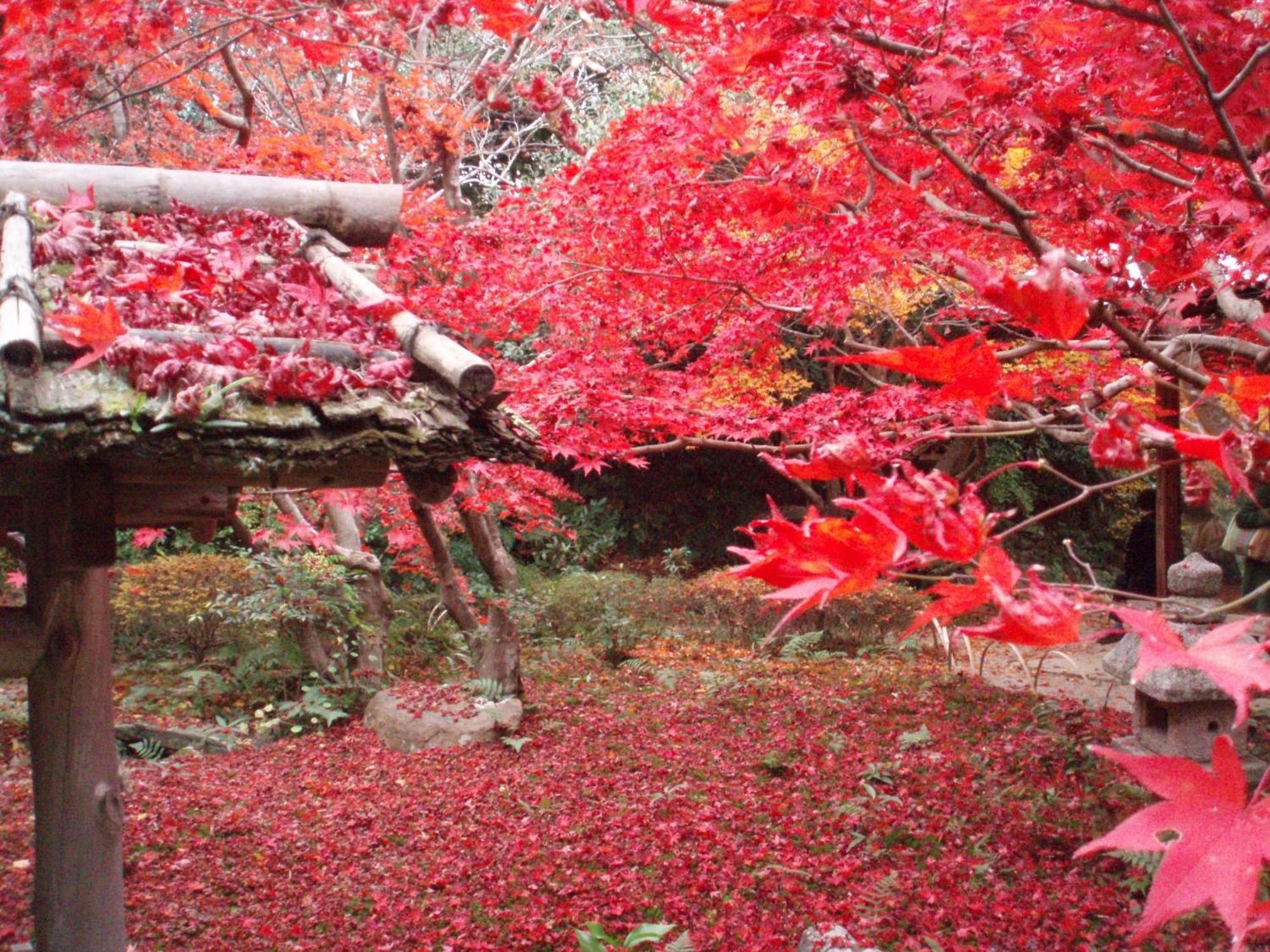 Kamuroan Kyoto Ngoại thất bức ảnh