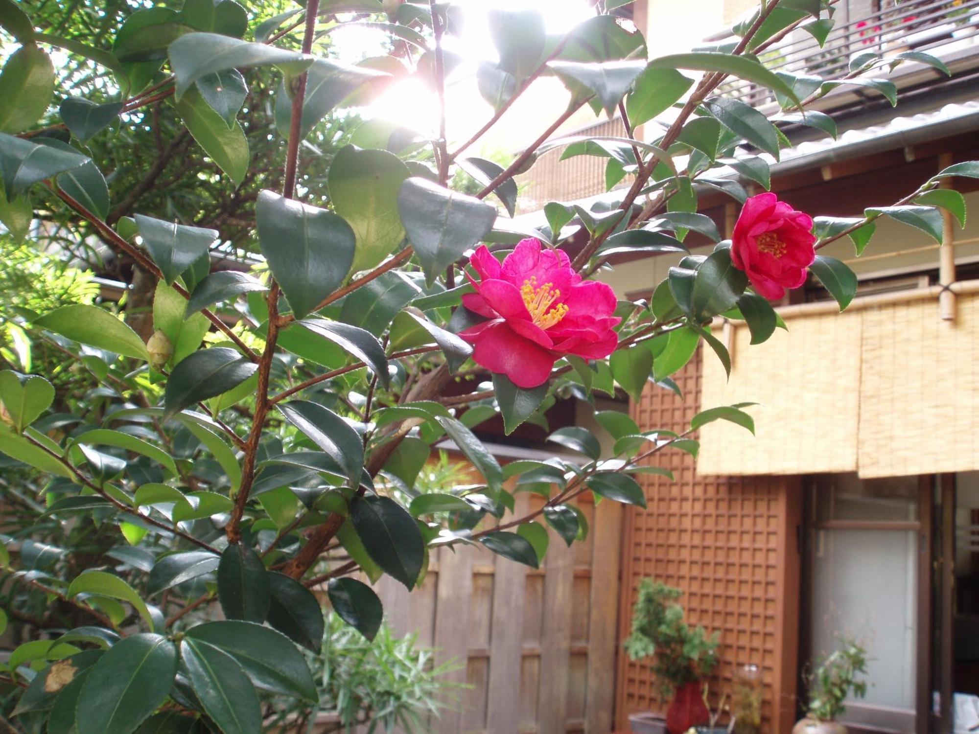 Kamuroan Kyoto Ngoại thất bức ảnh