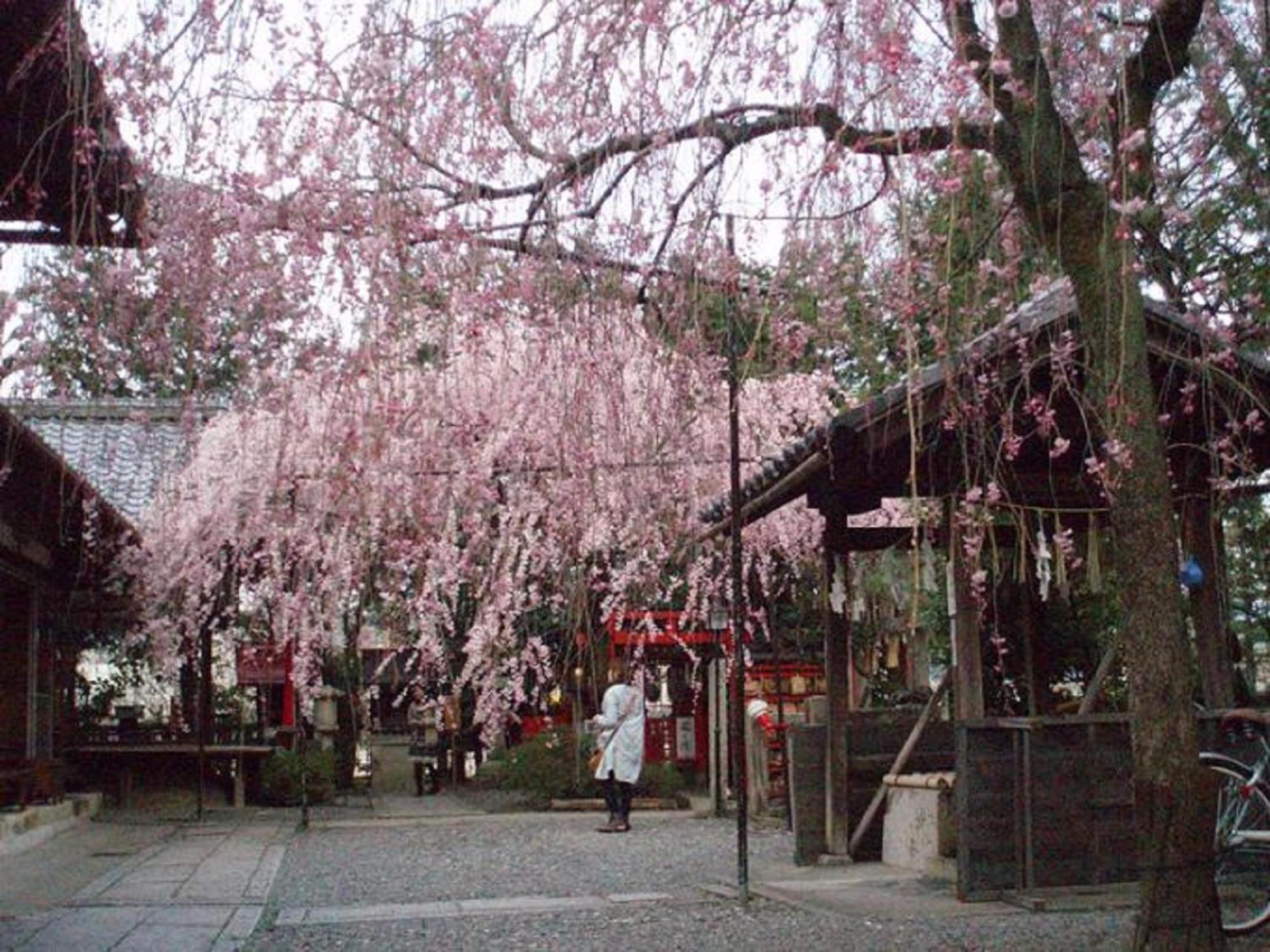 Kamuroan Kyoto Ngoại thất bức ảnh
